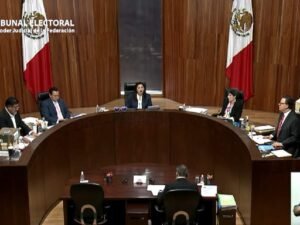 TEPJF: “Existen los acordeones, pero no son suficientes para anular la elección”